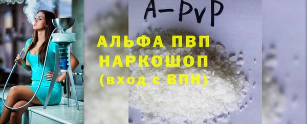 spice Новозыбков