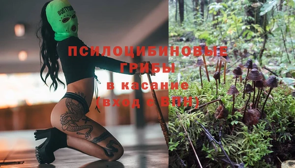 первитин Грязовец