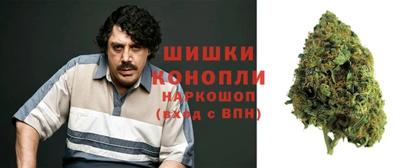 spice Новозыбков