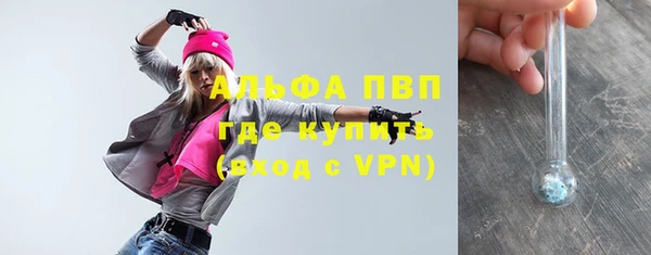 spice Новозыбков