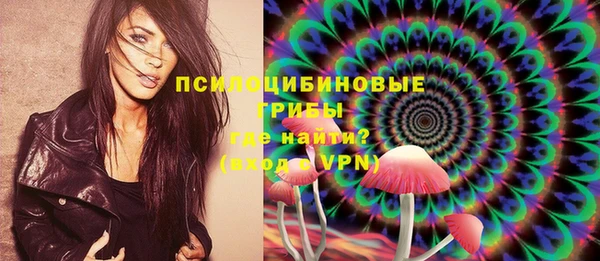 spice Новозыбков