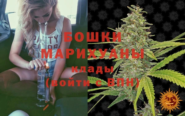 амф Губаха