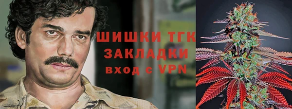 ГАЛЛЮЦИНОГЕННЫЕ ГРИБЫ Новокубанск
