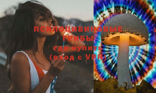 spice Новозыбков