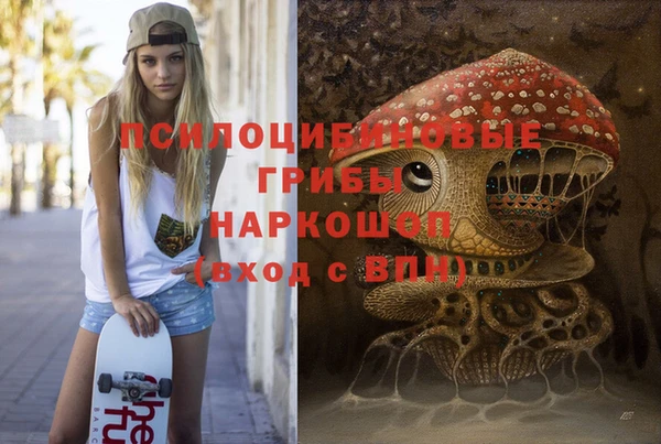 соль ск Нефтегорск