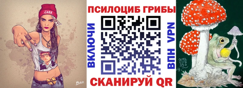 OMG ONION  закладка  Рузаевка  Галлюциногенные грибы ЛСД 
